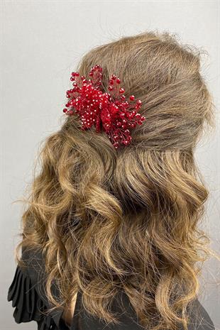 الجملة ريجل بورجوندي صدفي مقطع الشعر