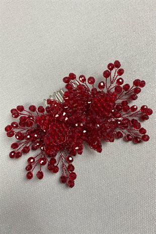 الجملة ريجل بورجوندي صدفي مقطع الشعر