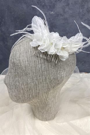 الجملة ريشة النعامة وزهرة الشعر كليب التبعي