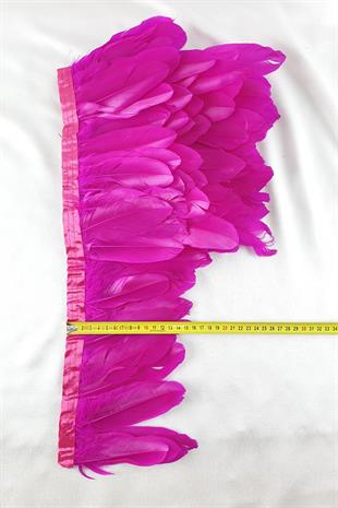 الجملة ريشة النسر الفوشيه