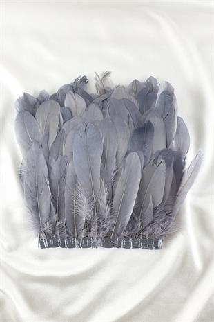 الجملة ريشة النسر الرمادي