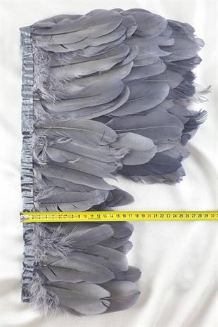 الجملة ريشة النسر الرمادي