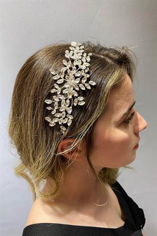 الجملة حجر فضي اللون صدفي الشعر التبعي