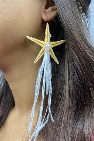 الجملة تاج ويكر نجم البحر ومجموعة القرط