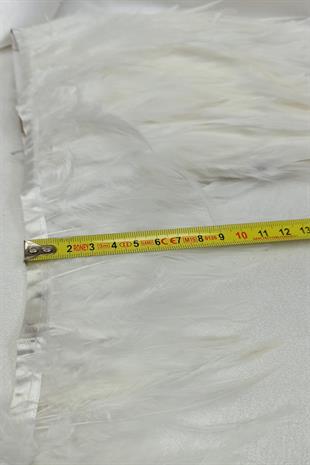  الجملة أوف وايت اللون ريشة الديك