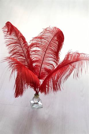 الجملة ريش نعام أحمر 45-50 سم 1 قطعة
