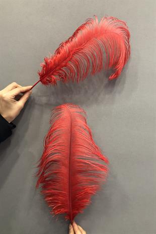 الجملة ريش نعام أحمر 45-50 سم 1 قطعة