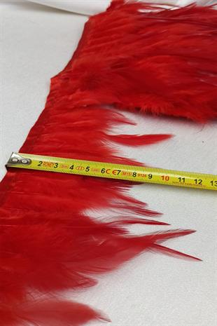 الجملة ريشة الديك الأحمر