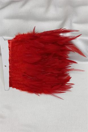 الجملة ريشة الديك الأحمر