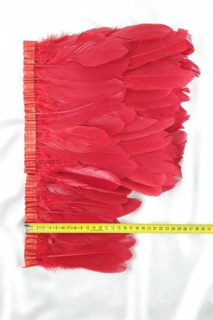 الجملة ريشة النسر الأحمر