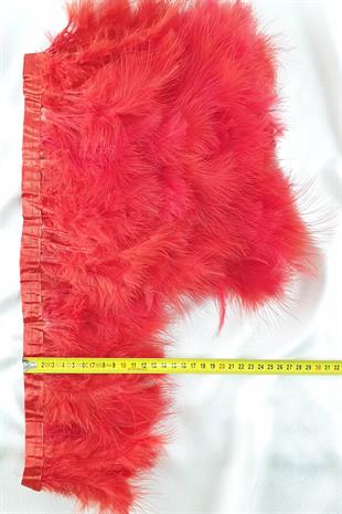 الجملة ريشة المايا الحمراء