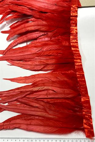 الجملة ريشة الثريا الحمراء الطويلة 1 طن متري