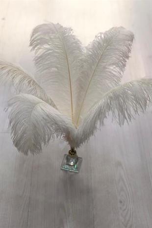 الجملة ريش نعام كريمي 45-50 سم 1 قطعة