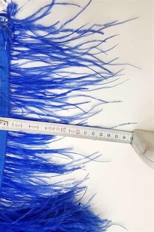 الجملة ريش نعام أزرق 1 متر