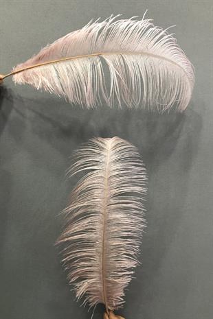 الجملة مسحوق ريش النعام 45-50 سم 1 قطعة