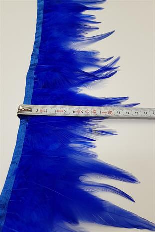 الجملة ساكس ريش الديك الأزرق 1 متر