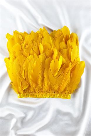 الجملة ريشة النسر الأصفر