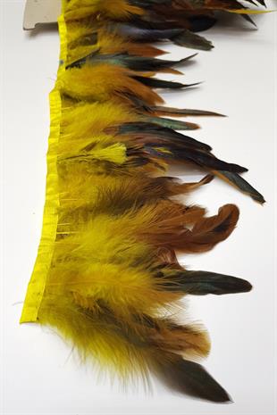 الجملة ريشة الثريا الصفراء 1 طن متري