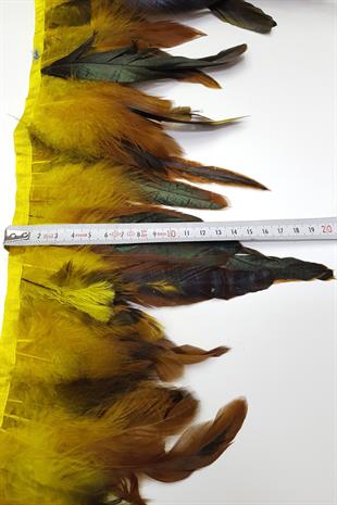 الجملة ريشة الثريا الصفراء 1 طن متري