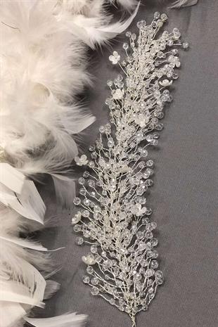 الجملة الكريستال الشفاف القنفذ نموذج الشعر التبعي