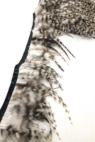 الجملة ريشة الديك منقوشة بالأبيض والأسود