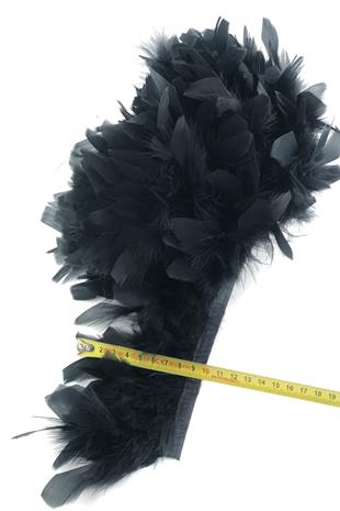 الجملة السوداء الأنابيب أوتريش أوزة الريش