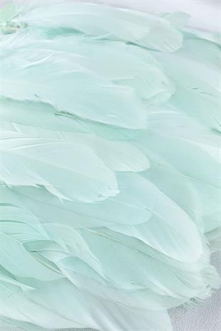 الجملة ريشة النسر الأخضر المائي