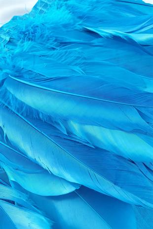 الجملة ريشة النسر الفيروز