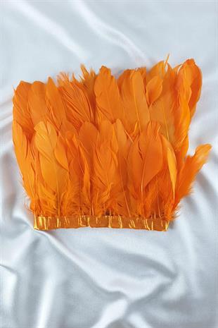 الجملة ريشة النسر البرتقالي