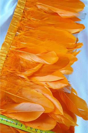 الجملة ريشة النسر البرتقالي