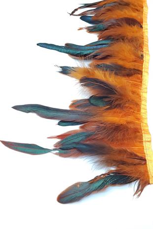 الجملة ريشة الثريا البرتقالية 1 طن