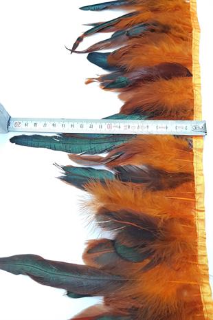 الجملة ريشة الثريا البرتقالية 1 طن