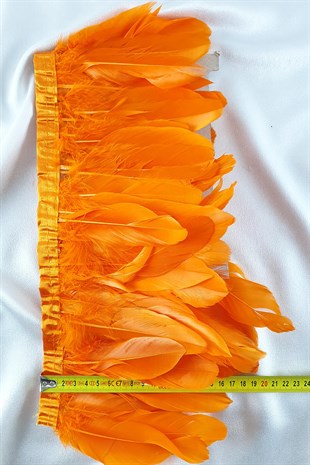 ريشة النسر البرتقالي