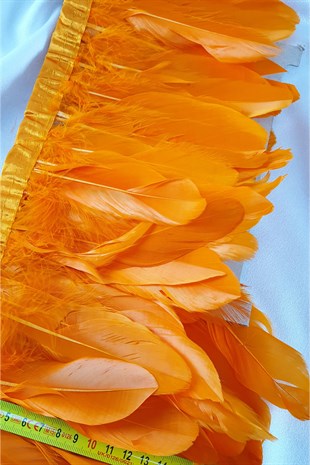 ريشة النسر البرتقالي