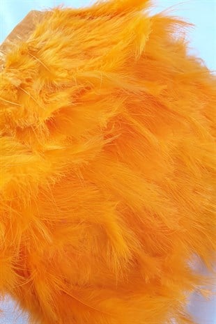 Orange Yeast Feather