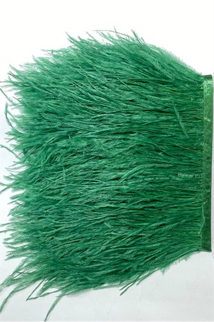 Green Ostrich Feather 1 mt