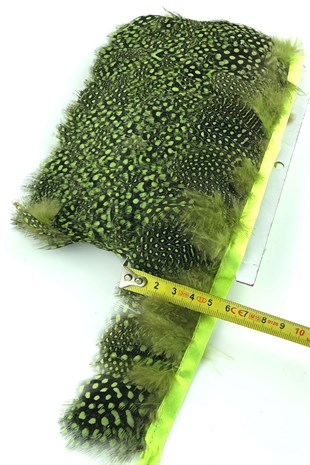 Yeşil Puanlı Gine Tavugu Tüyü
