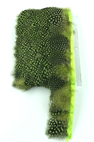 Yeşil Puanlı Gine Tavugu Tüyü