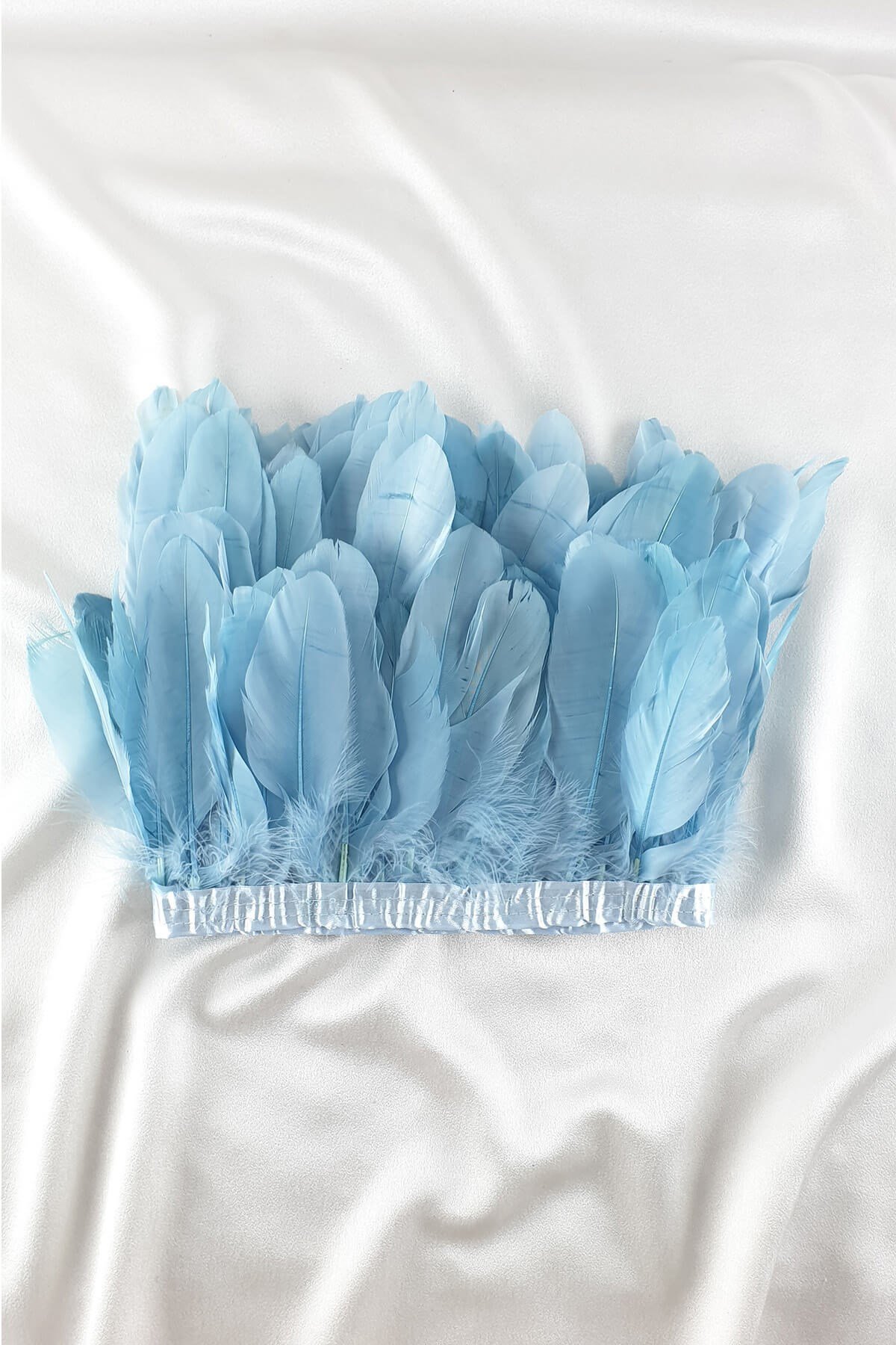 طفل ريش النسر الأزرق