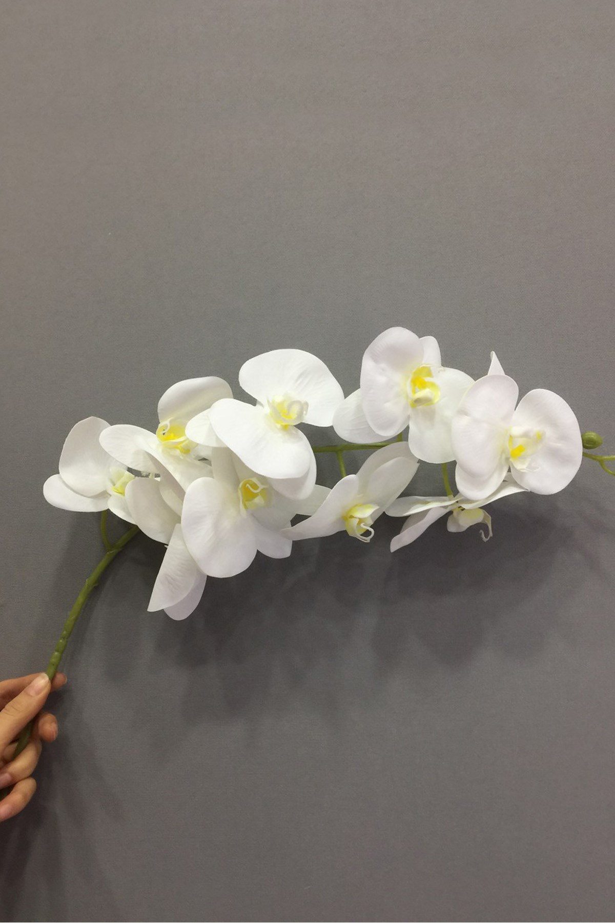 Beyaz Yapay Islak Orkide Çiçek | Hayalperest