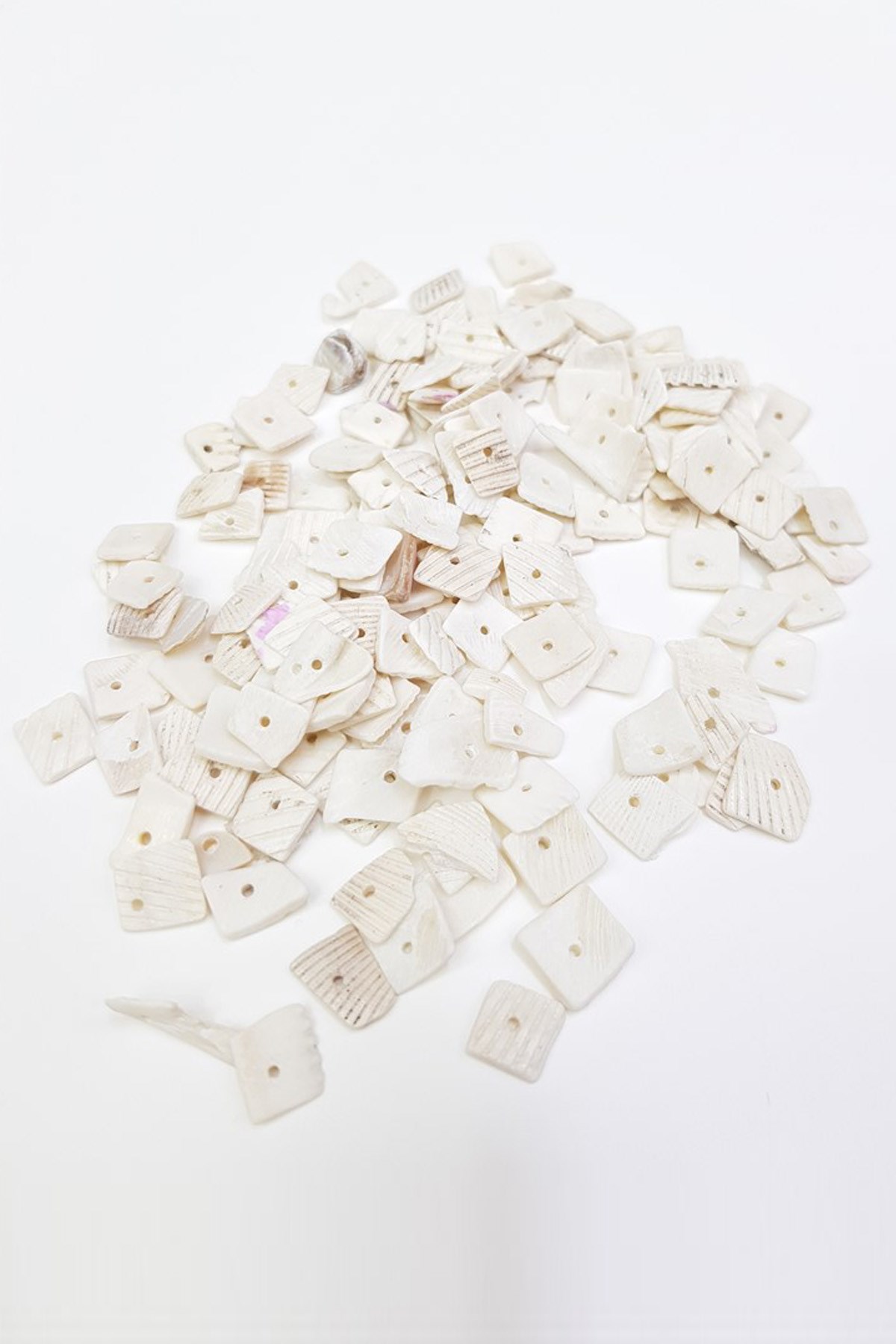 Mother-of-Pearl Greyhound Bead Shell