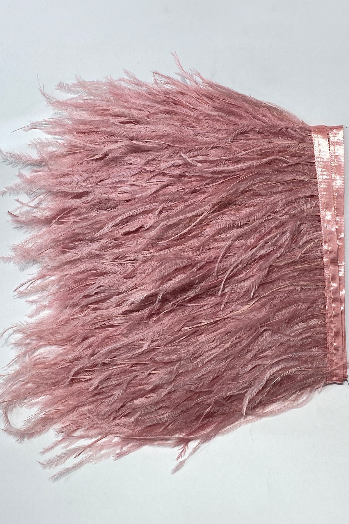 Dried Rose Ostrich Feather 1 mt