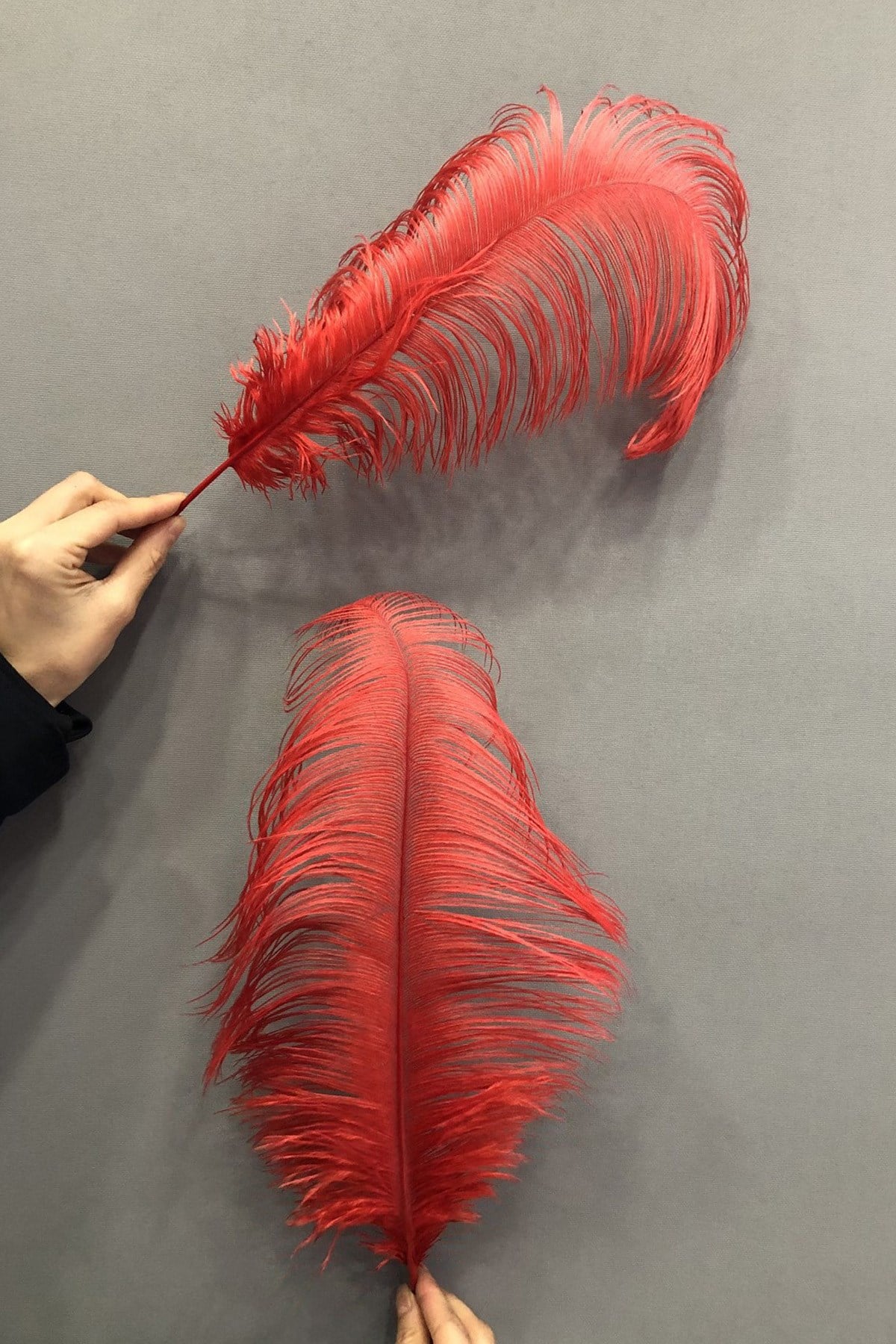 Kırmızı Deve Kuşu Tüyü 45-50 cm 1 adet