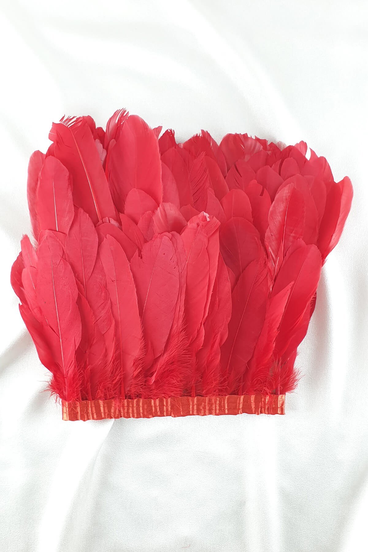 ريشة النسر الأحمر