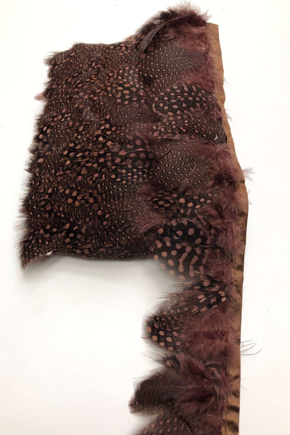 Dark Brown Guinea Chicken Feather 1 mt