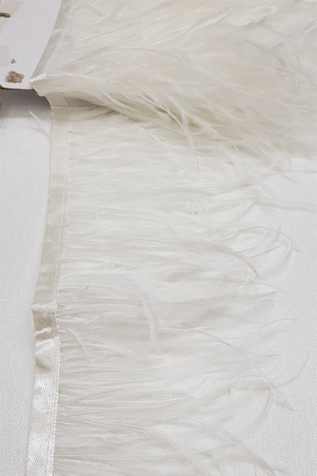 Cream Ostrich Feather 1 mt