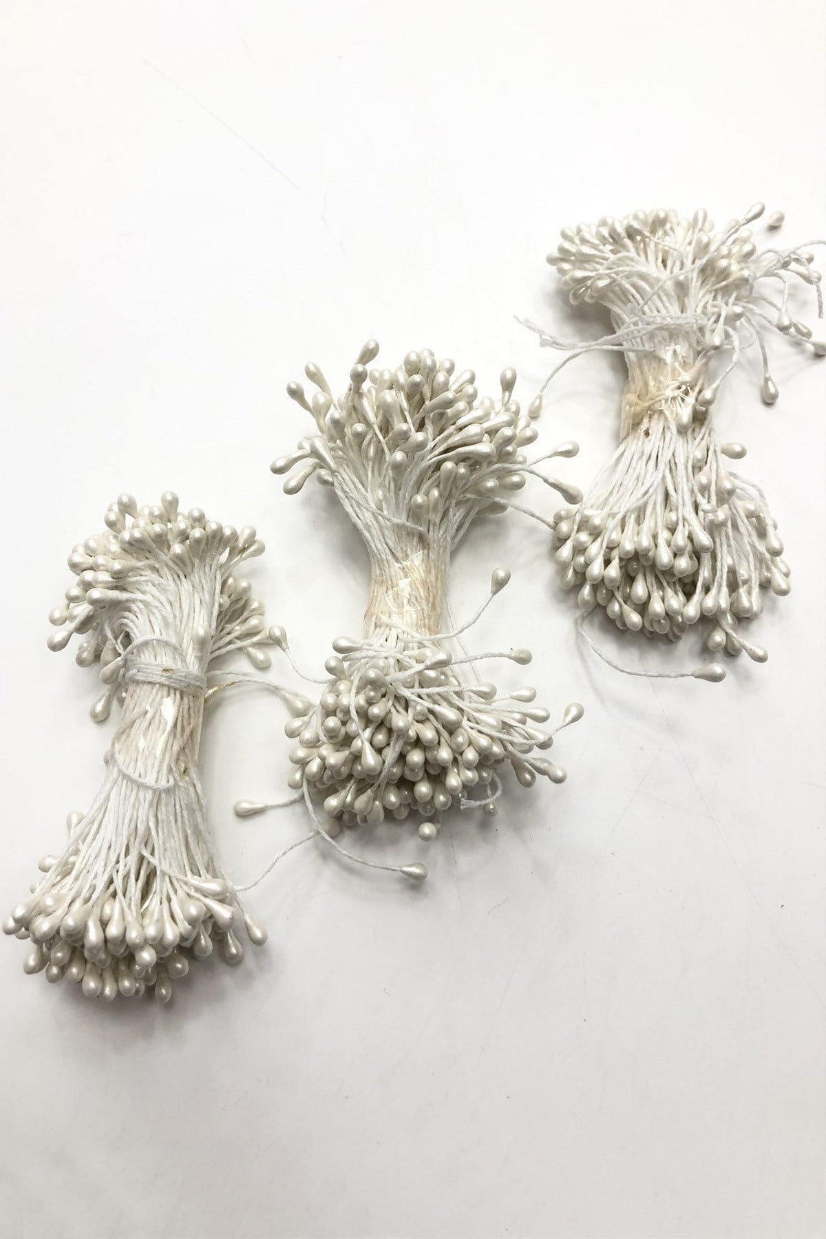 Krem Tohum Pıtırcık