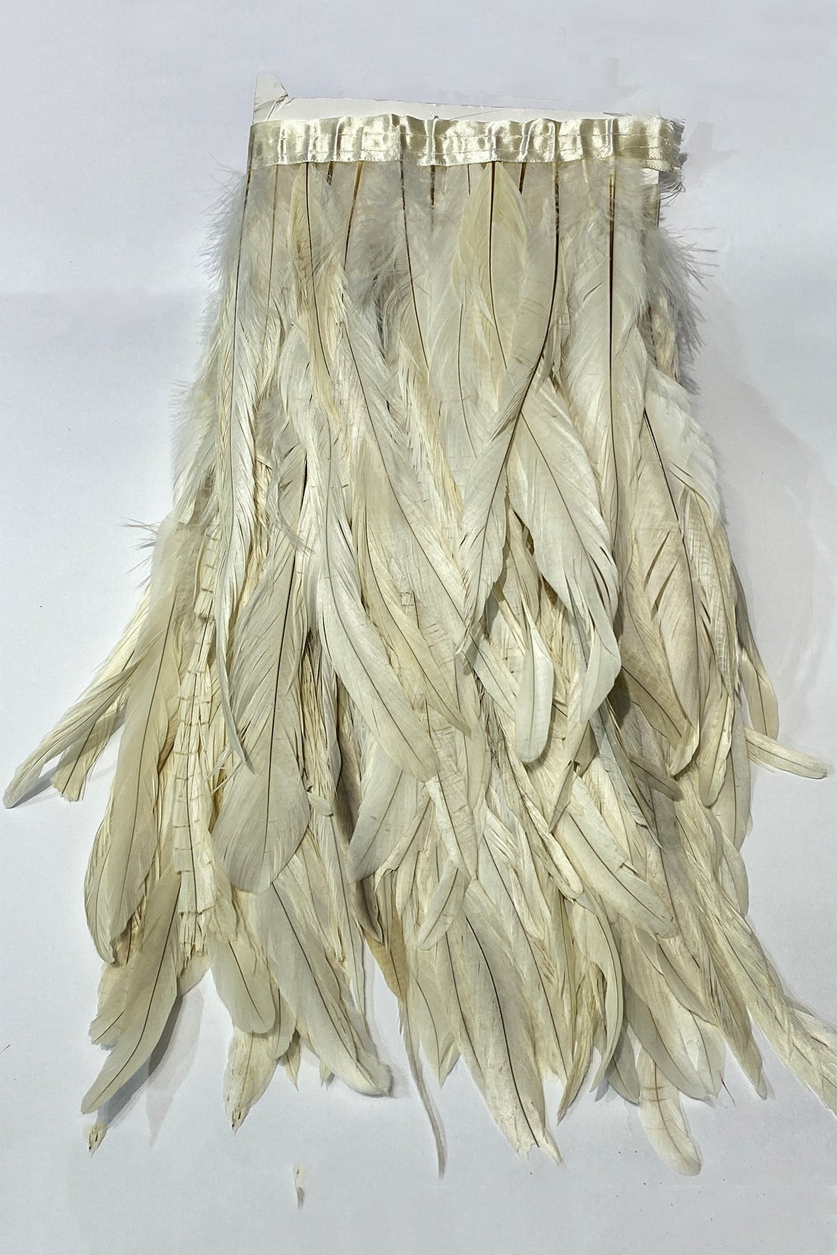 Cream Long Chandel Feather 1 mt