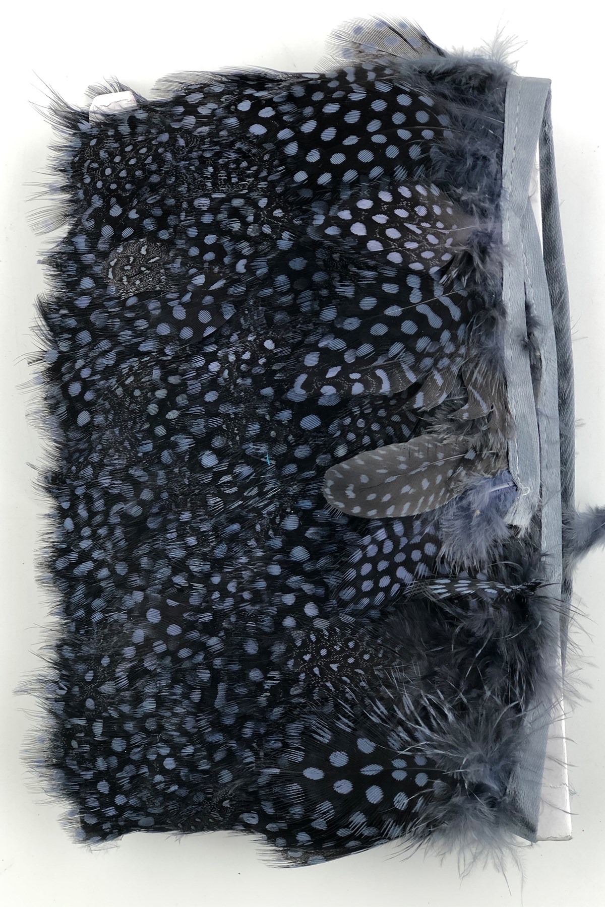 Blue Gray Pointed Guinea Chicken Feather