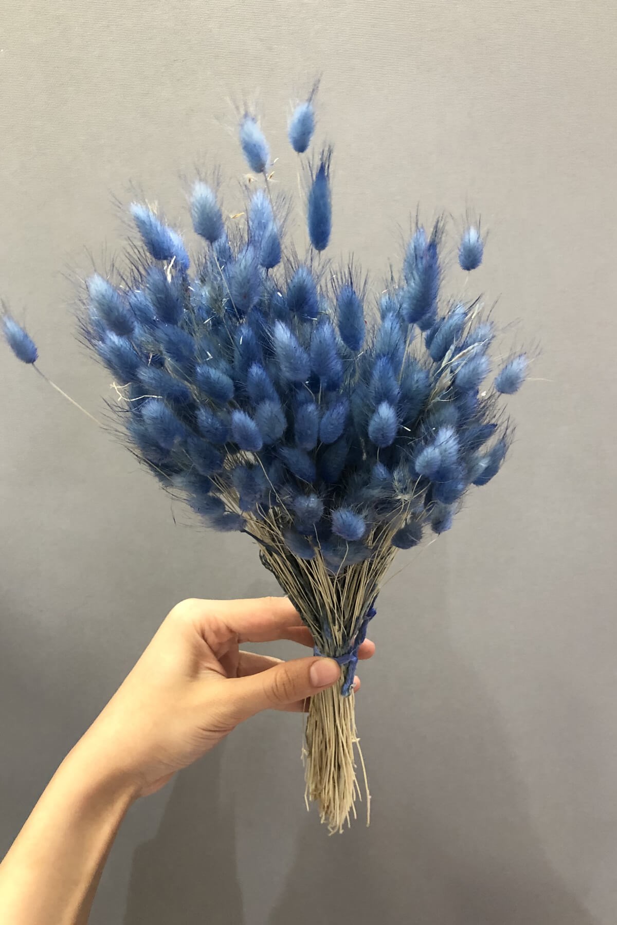 Mavi Pamuk Otu Kurutulmuş Çiçek | Hayalperest